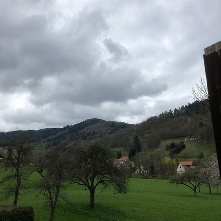 Petit Week End Dans La Vallee Breitenbach-Haut-Rhin Zewnętrze zdjęcie