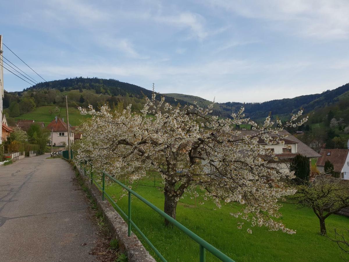 Petit Week End Dans La Vallee Breitenbach-Haut-Rhin Zewnętrze zdjęcie