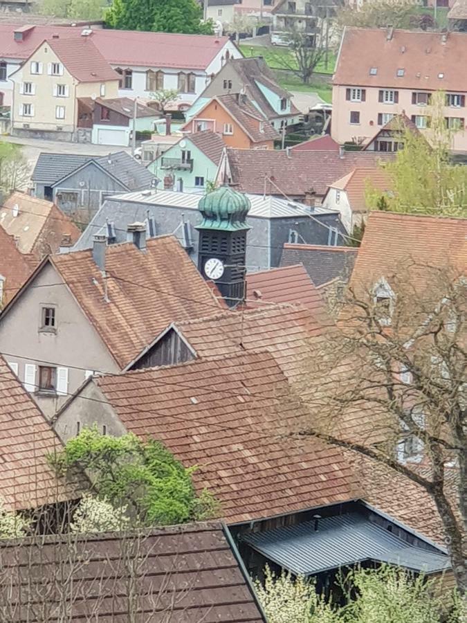 Petit Week End Dans La Vallee Breitenbach-Haut-Rhin Zewnętrze zdjęcie