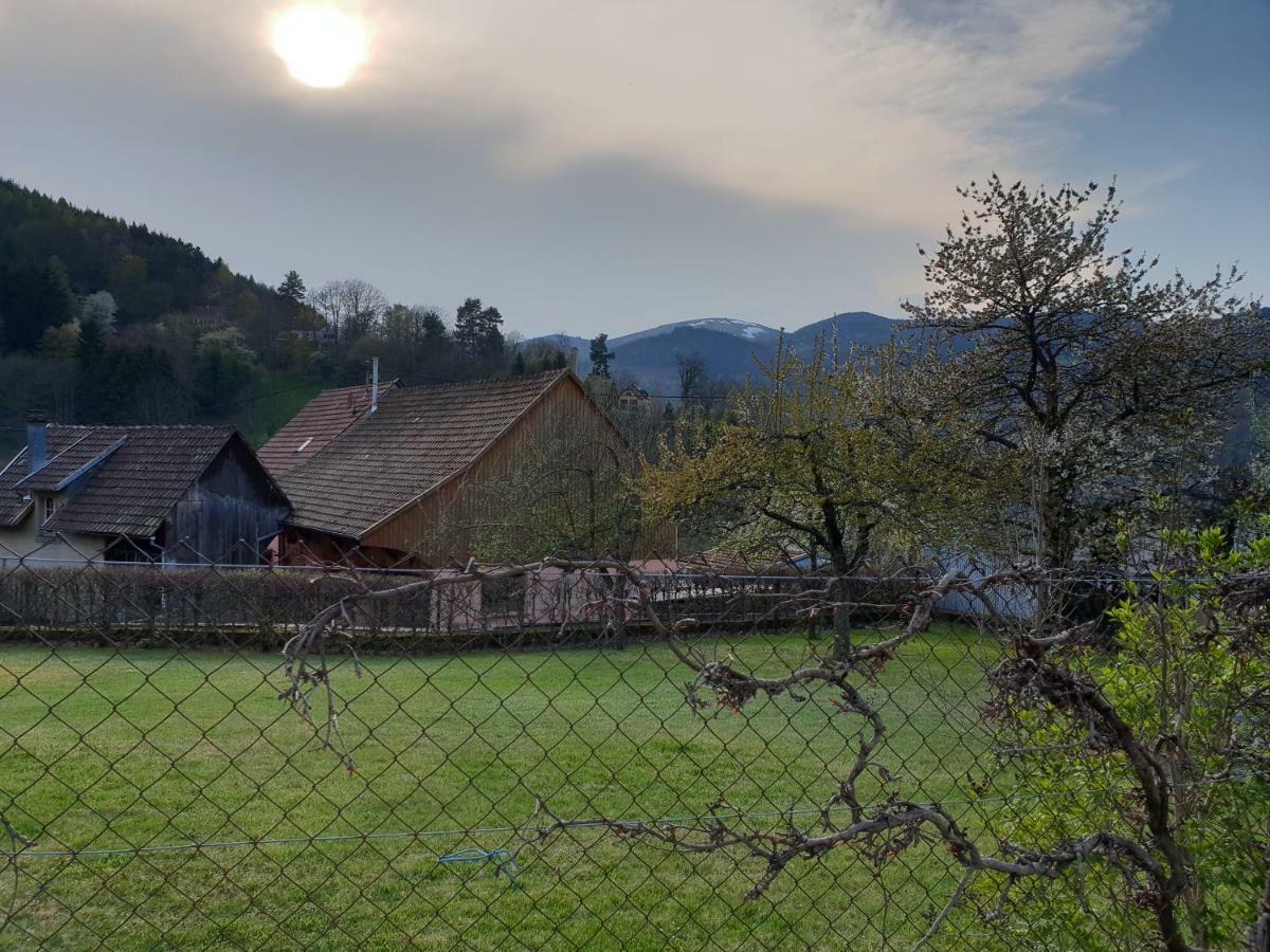 Petit Week End Dans La Vallee Breitenbach-Haut-Rhin Zewnętrze zdjęcie