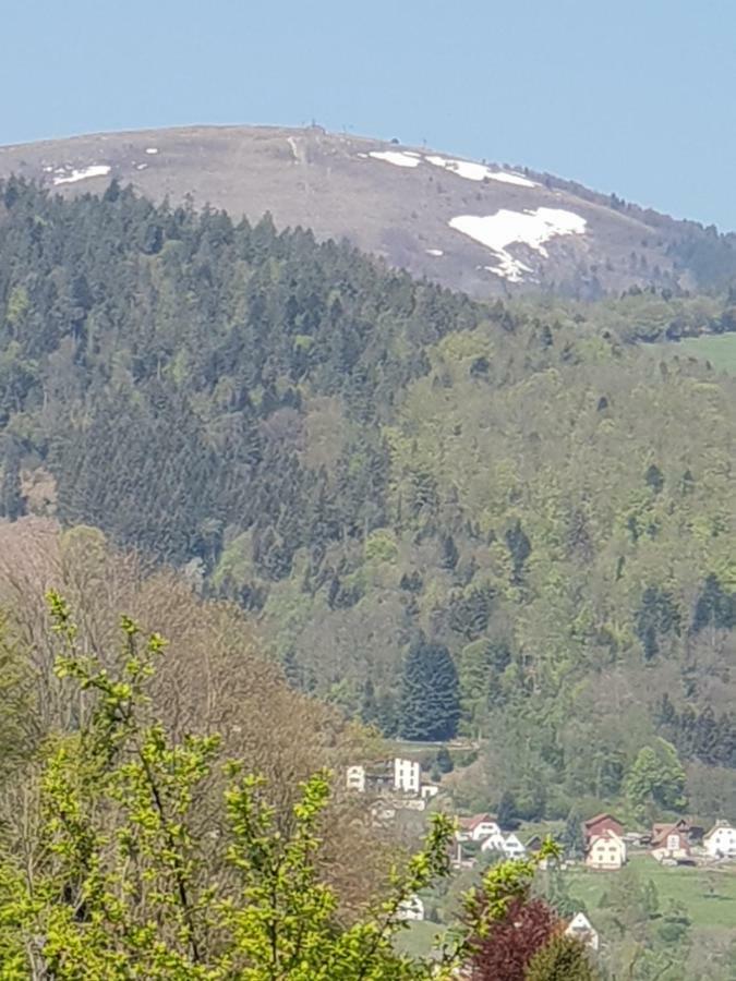 Petit Week End Dans La Vallee Breitenbach-Haut-Rhin Zewnętrze zdjęcie