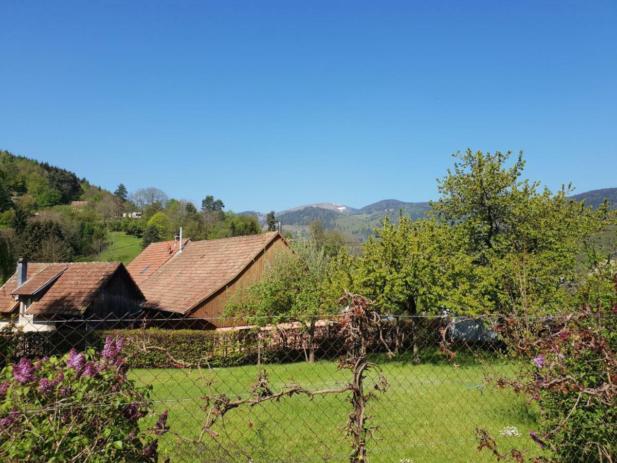 Petit Week End Dans La Vallee Breitenbach-Haut-Rhin Zewnętrze zdjęcie