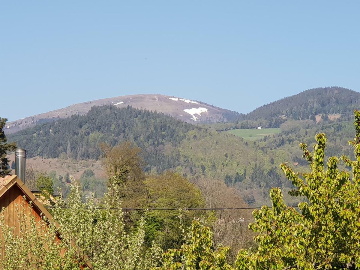 Petit Week End Dans La Vallee Breitenbach-Haut-Rhin Zewnętrze zdjęcie