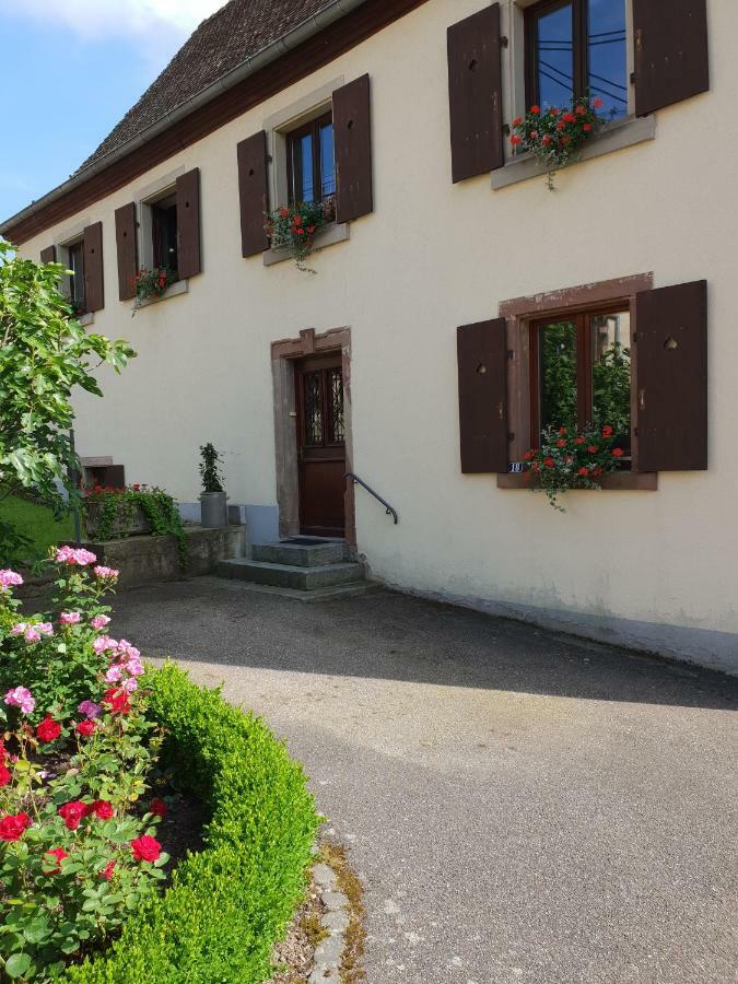 Petit Week End Dans La Vallee Breitenbach-Haut-Rhin Zewnętrze zdjęcie