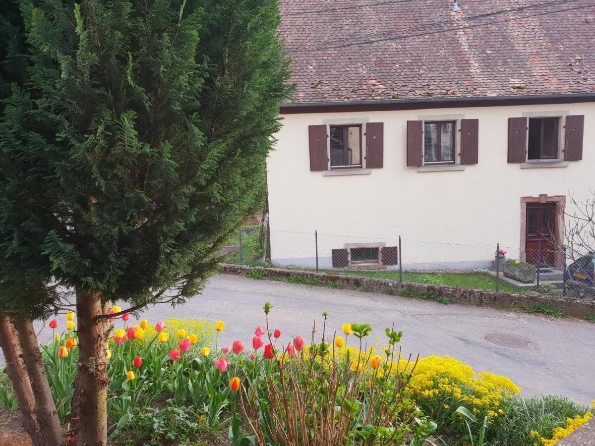 Petit Week End Dans La Vallee Breitenbach-Haut-Rhin Zewnętrze zdjęcie